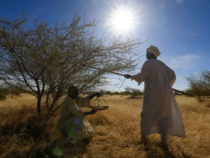 كردفان.. ساحة المنافسة ومسرح الحرب بين الجيش والدعم السريع في السودان