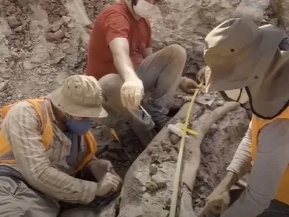 حفريات في البرازيل تكشف عن نوع جديد من الديناصورات العملاقة