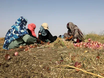 الحوار السوداني.. هل ينقذ ما يمكن إنقاذه؟