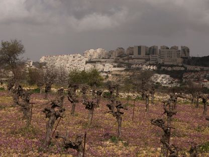 مستوطنة أفرات الإسرائيلية المبنية على أرض بلدة الخضر الفلسطينية في الضفة الغربية. 6 مارس 2024 - AFP