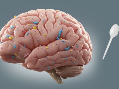 غلاف عدد مايو من مجلة Brain Medicine يحمل تصوراً لدماغ بشري مرصَّعاً بجزيئات دقيقة ملونة بجانب ملعقة بلاستيكية. 20 مايو 2025 - Brain Medicine