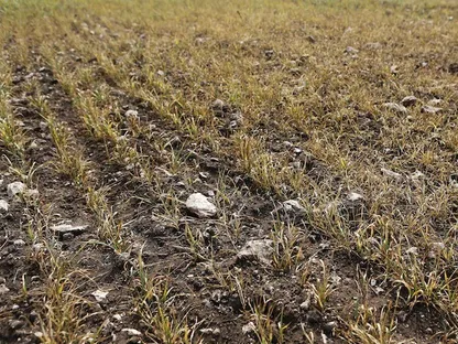 المغرب.. خطط لتأمين 60% من الاحتياجات المائية بتحلية مياه البحر