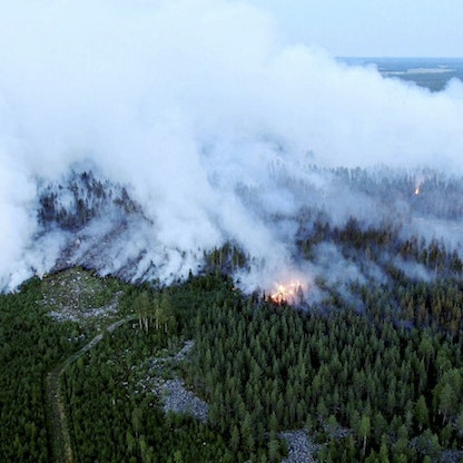فنلندا تكافح أسوأ حريق غابات في نصف قرن