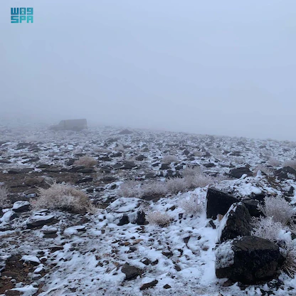 برودة غير مسبوقة.. عاصفة ثلجية تضرب السعودية ومصر وبلاد الشام