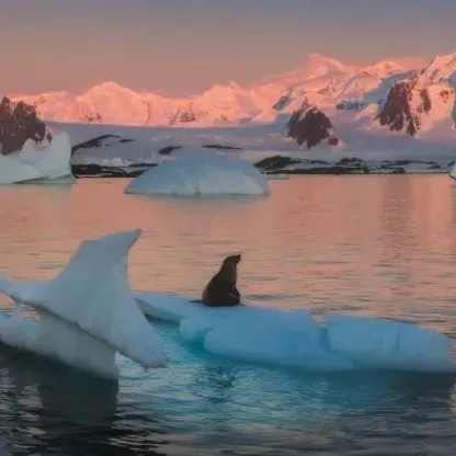 الأمم المتحدة: الأنهار الجليدية تتلاشى بمعدلات غير مسبوقة