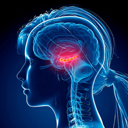 تعرف على مسببات التهاب السحايا وطرق العلاج