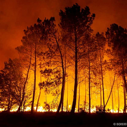 جفاف وحرائق غابات وعطش.. حرارة الصيف تلهب أوروبا