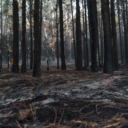 جثث مهاجرين وسط رماد حرائق الغابات في اليونان.. والسيطرة على حريق ضخم بإسبانيا
