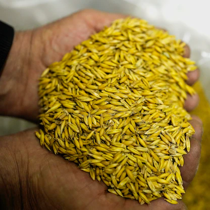 تداعيات أزمة أوكرانيا.. سيادة الدول بين أزمة الغذاء والإجراءات الحمائية