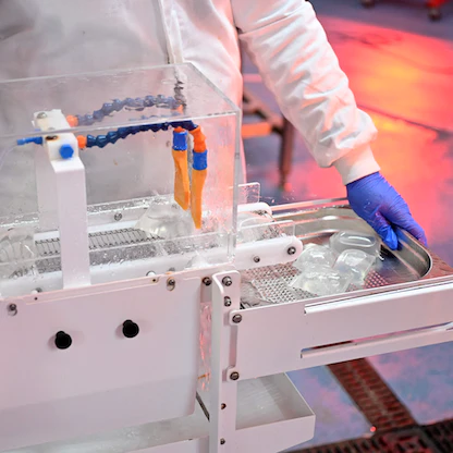 أغلفة قابلة للأكل مصنوعة من الأعشاب البحرية... حل بديل للبلاستيك