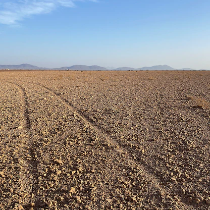 رغم أزمة الجفاف..المغرب يدعم سلاسل الإنتاج الزراعي