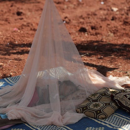 دراسة: "ناموسيات" جديدة لها فاعلية في مكافحة الملاريا بتنزانيا