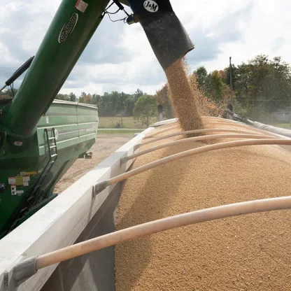 بيسنت: الصين تعهدت بشراء كميات كبيرة من فول الصويا الأميركي