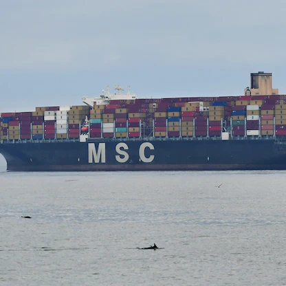 شركة شحن تعدّل مسار سفنها تجنباً للاصطدام بـ"حيتان سريلانكا"