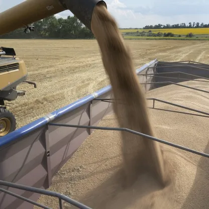 بولندا وسلوفاكيا والمجر تتحدى الاتحاد الأوروبي وتواصل حظر السلع الأوكرانية