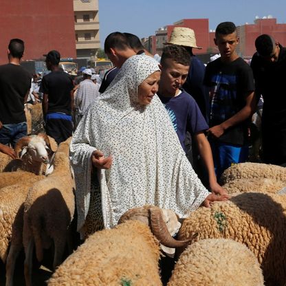 بسبب الجفاف وارتفاع الأسعار.. ملك المغرب يوصي بعدم ذبح أضاحي العيد