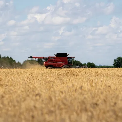 بعد التوصل لـ"هدنة تجارية".. الصين تشتري القمح الأميركي لأول مرة منذ 2024