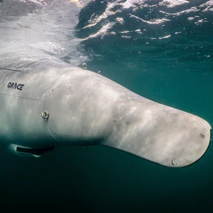 مدعومة بالذكاء الاصطناعي.. ألمانيا تكشف عن غواصة Greyshark المسيّرة