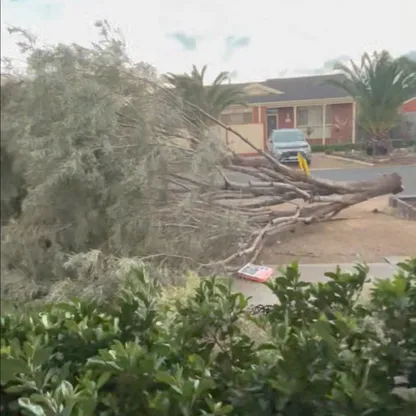 الطقس السيئ يودي بحياة امرأة في أستراليا ويقطع الكهرباء عن عشرات الآلاف