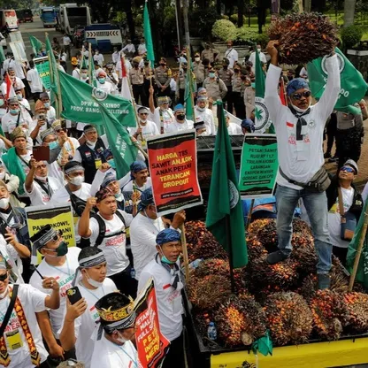 إندونيسيا.. احتجاجات ضد مصادرة مزارع زيت نخيل