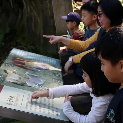 في عام الحصان.. حديقة حيوانات تايوان تجذب الأضواء بخيول مهددة بالانقراض