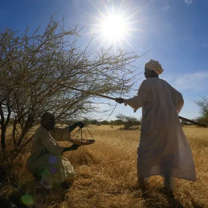 كردفان.. ساحة المنافسة ومسرح الحرب بين الجيش والدعم السريع في السودان