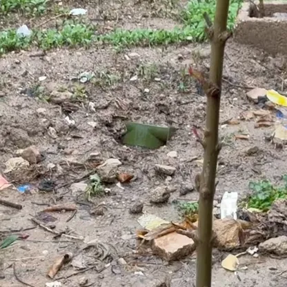 "ألغام من السماء".. كيف حاصرت واشنطن مدن الصواريخ الإيرانية؟