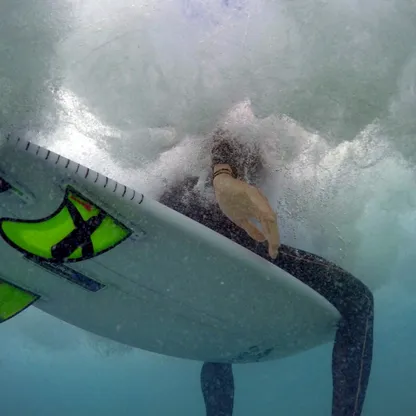 متأثراً بجراحه.. سمكة قرش تقتل رجلاً قبالة شاطئ في سيدني