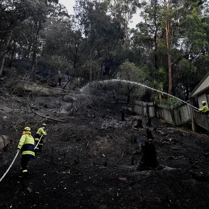 دراسة: علاقة بين حرائق الغابات وارتفاع معدلات الإصابة بالسكتة الدماغية
