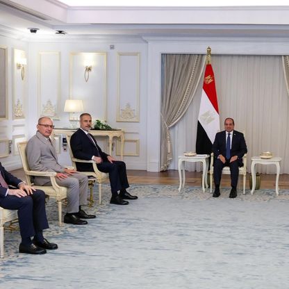 السيسي وفيدان يشددان على رفض "احتلال غزة" وتهجير الفلسطينيين ويدعوان لوقف النار
