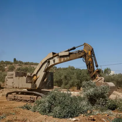 إسرائيل تنتهج التهجير سياسة رسمية ضد الفلسطينيين.. والتنفيذ بأشكال معلنة وغير معلنة