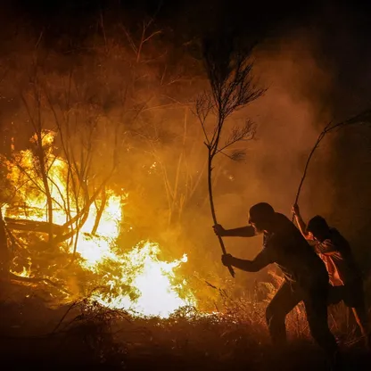 بعد ارتفاع الوفيات.. مؤسسات خيرية تخصص 300 مليون دولار لأبحاث المناخ