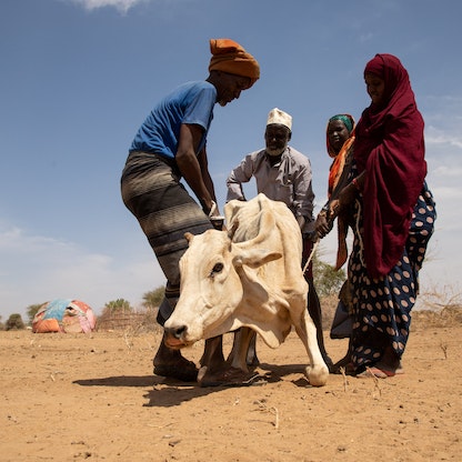 دراسة: تغير المناخ تسبب في جفاف منطقة القرن الإفريقي