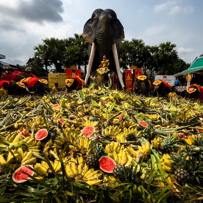 احتفالاً بيومها السنوي.. مأدبة فواكه للأفيال في تايلاند