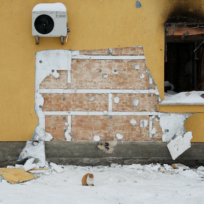 القبض على 8 متهمين بسرقة جدارية لـ"بانكسي" في كييف    