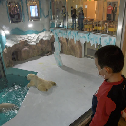 فندق يتيح للنزلاء فرصة السكن مع الدببة القطبية