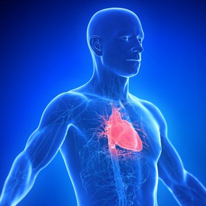 خفقان القلب.. الأعراض والأسباب وكيفية العلاج