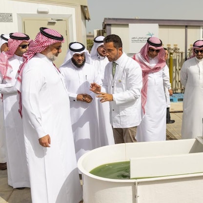 السعودية.. إطلاق مشروع وطني لتطوير صناعة الطحالب
