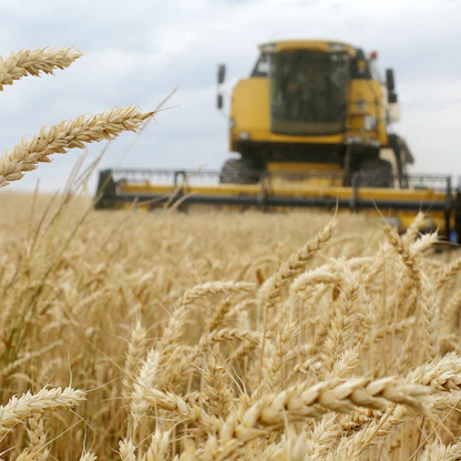 تحركات القمح.. دول تبحث عن مصادر للخبز بعيداً عن أوكرانيا