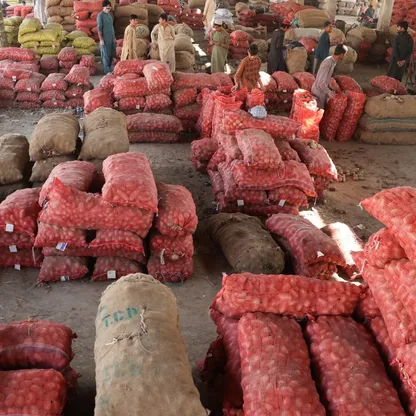 على وقع اشتباكات الحدود.. اندلاع حرب تجارية بين باكستان وأفغانستان