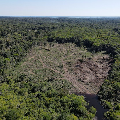دراسة: البشر أخطر من الظواهر المناخية على غابات الأمازون