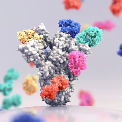 باحثون يقتربون من إعادة برمجة الجهاز المناعي لإنتاج أجسام مضادة فعالة