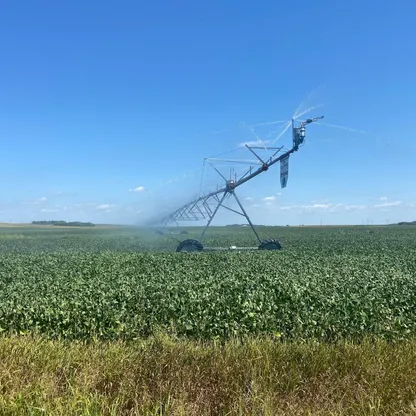 بعد "الهدنة التجارية".. الصين تشتري 14 شحنة من فول الصويا الأميركي رغم ارتفاع سعره
