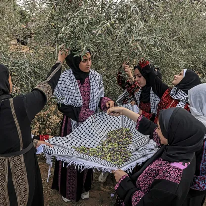 زيتون فلسطين "رمز الصمود" في بينالي البندقية 2024