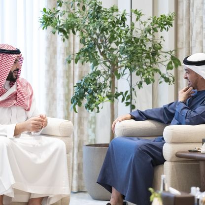 الرئيس الإماراتي يبحث التعاون المشترك مع وزير الدفاع السعودي