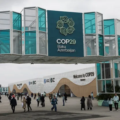 دول مشاركة في Cop 29 توافق على إطار عمل لسوق كربون عالمية