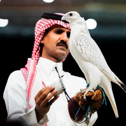 بيع صقر "سوبر وايت" في مزاد دولي بالسعودية بـ346 ألف دولار