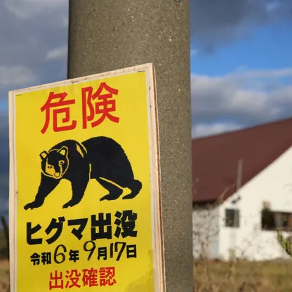 هجمات الدببة تدفع سكان منطقة يابانية لطلب مساعدة الجيش