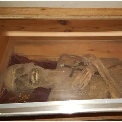 تعود للقرن الـ18.. باحثون يحلون لغز تحنيط مومياء بشرية في النمسا