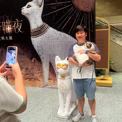 متحف شنغهاي يخصص "ليلة مواء" للقطط في معرض للآثار المصرية